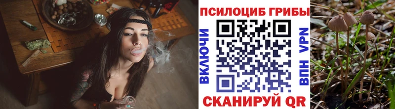 цена наркотик  кракен как зайти  Псилоцибиновые грибы Cubensis  нарко площадка формула  Отрадное 